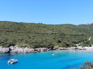 two boats are docked in a bay with blue water at Swimming pool apartment in Budva