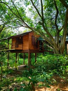 a tree house in the middle of a forest at Tree House Cabana Sigiriya in Sigiriya