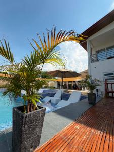 a house with a wooden deck with a palm tree at Zensole Resort in Tarlac