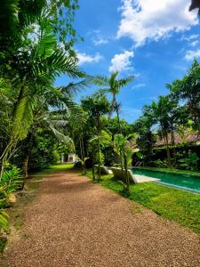 a path next to a pool with palm trees at Baker's cottage in Kosgoda