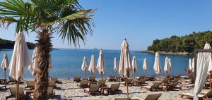 a beach with chairs and umbrellas and a palm tree at Villa Rolla in Tivat