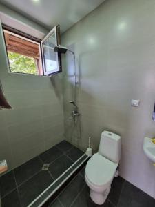 a bathroom with a toilet and a sink at kakhtubani in Chandari +3 photos