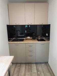eine Küche mit Spüle und Arbeitsplatte in der Unterkunft Apart Robert 2 in Bicaz