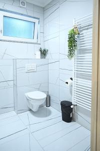 a white bathroom with a toilet and a window at Vila Atlantida in Velika +24 photos