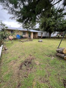 a yard with a house and a tree at Comfortable 3-bedroom, 1-kitchen cottage in Cerro Punta