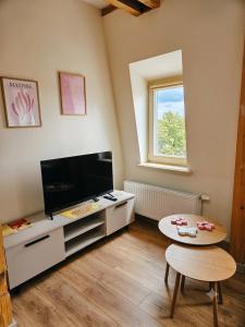 a living room with a tv and a table at Rosette Rose AC Progres in Toruń