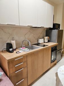 a kitchen with a sink and a counter top at Rosette Rose AC Progres in Toruń