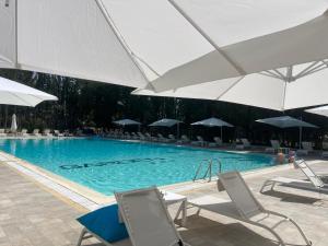 a swimming pool with chairs and umbrellas at Garden Hotel in Latina