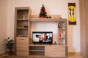 Televízia a/alebo spoločenská miestnosť v ubytovaní Apartments Matijašević