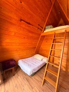 a bedroom with a bunk bed and a ladder at azomalli cabañas in Bernal
