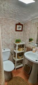 a bathroom with a toilet and a sink at Cueva La Loli in Guadix +113 photos