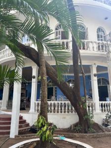 a white building with palm trees in front of it at Villa Rivercat in Mandrem