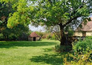 a yard with a large tree and a building at Gîte - La Gariotte du Causse in Frayssinet