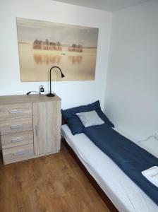 a bedroom with a bed and a dresser with a lamp at Apartman Garami Porta in Mezőkövesd