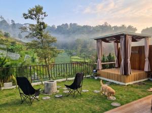 a dog walking in a yard with chairs and a gazebo at Maple Dome Glamping in Bandung