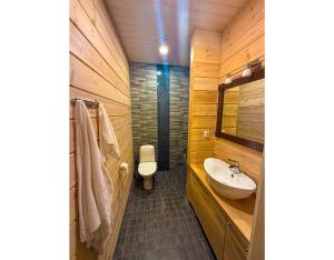 a bathroom with a toilet and a sink at ELK Aurora Lodge in Kakslauttanen
