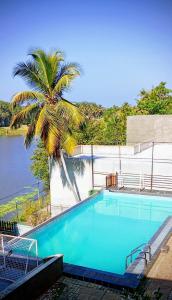 a large swimming pool with a palm tree and water at Lotus villa lake resort in Matara