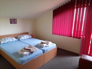 a bedroom with two beds and a red window at Casa cu flori in Bîrsău