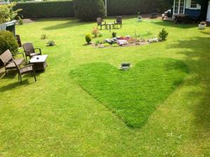 a heart drawn in the grass in a yard at Pension Linde Prerow in Prerow