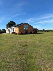 a group of cows standing in a field next to a barn at New Forest View in Beaulieu
