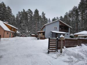 a house in a yard covered in snow at Osada leśna in Sztabin