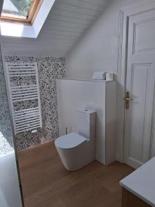 a bathroom with a white toilet in a room at Villa Playa in Veyrier-du-Lac +21 photos