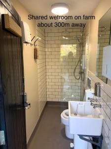 a bathroom with a white sink and a toilet at Simple Basketmakers Hut Cabin for Two in Chiddingstone +15 photos