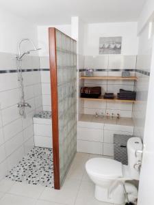 a white bathroom with a toilet and a shower at Appartement cosy Le Marin 60 m² + jardin in Le Marin
