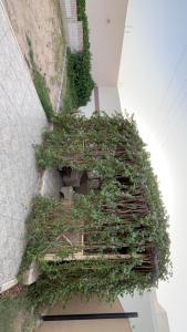 a building with plants growing on the side of it at شاليه in Al Bukayriyah