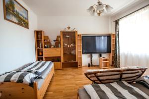 a living room with two beds and a flat screen tv at Harmónia Aqua Vendégház in Somogysárd