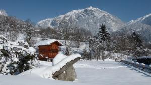 塞尔沃兹Chamonix petit chalet Cocooning的雪中与山间的小木屋