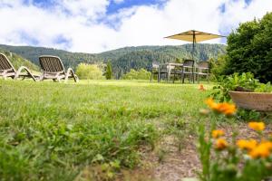 three chairs and an umbrella in a field at Apartments Schießstand in Avelengo