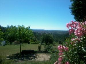 a view of a field with pink flowers at E I PERLES de AIME in Laurac-en-Vivarais