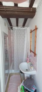 a bathroom with a shower and a white sink at La Parenthèse d'Ouilly in Pont-d'Ouilly +18 photos