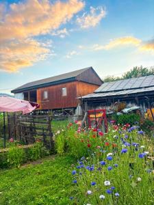 a field of flowers in front of a barn at Guest House Nazo in Omalo