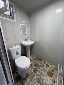a bathroom with a toilet and a sink at Guest House Nazo in Omalo +39 photos