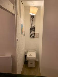 a bathroom with a toilet and a picture of a woman at 45 Grande Rue in Ault +42 photos