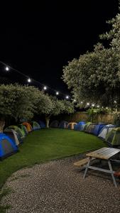a group of tents in a field at night at extreme park in Deir Ḥannā