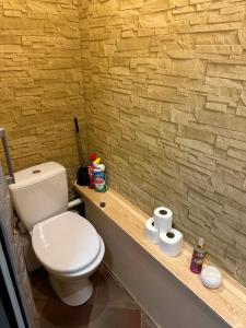 ein Badezimmer mit Toilette und zwei Rollen Toilettenpapier in der Unterkunft MiniApartament in Psary Małe