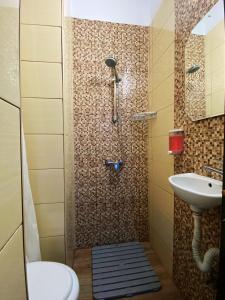a shower with a sink and a toilet in a bathroom at The Stone Garden Apartment - free parking, private yard in Sinaia +14 photos