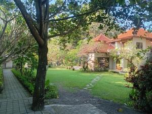 a house with a lawn in front of it at Margot Guest House in Sanur +17 photos