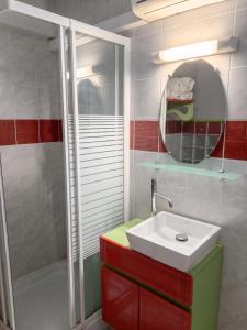 a bathroom with a sink and a shower and a mirror at Studio charmant à Rivière Salée - 22 m² + Parking in Rivière-Salée