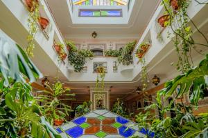 a room with plants and a ceiling with windows at Riad Salt River in Martil