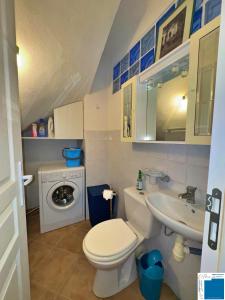 a small bathroom with a toilet and a sink at villa Clémentine - 3 chambres in Lecci +14 photos
