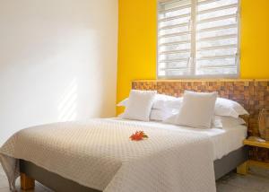 a bedroom with a white bed with a window at Appartement spacieux avec jardin et piscine à Lamentin, 97 m² in Lamentin