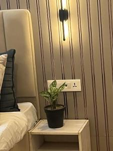 a potted plant on a table next to a bed at Hotel PRM Sweet Stay in Bhundsi