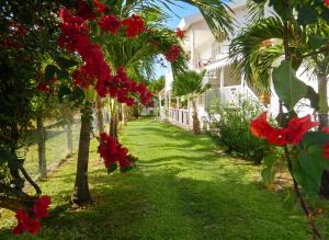 a garden with red flowers on trees and a house at Appartement spacieux au Vauclin avec piscine privée in Le Vauclin +4 photos