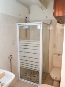 a bathroom with a shower and a toilet and a sink at Appartement charmant au Lamentin avec terrasse et jardin, 46 m² in Le Lamentin