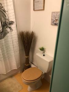 a bathroom with a white toilet and a plant at Chambre la paix verte in Payrac