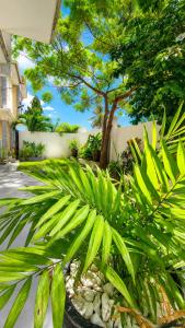 a group of plants in a yard with a tree at Legacy Homes in Dar es Salaam